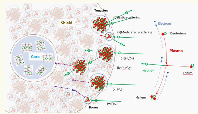 The processes involved in a tungsten boride shield
