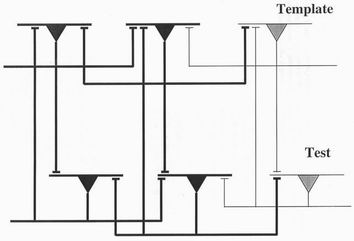 A neuronal picture of adjacent pixels