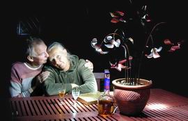 The outdoor lily light