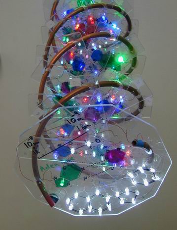 The lower plate showing the bright white LEDs