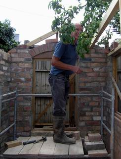 The brick arch over the back window
