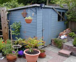 The old shed