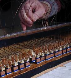 The palettes in operation