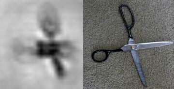 The scissors image in the carpet