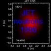 JET neutron production