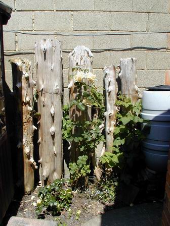 Colin's family sculpture